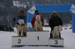 Lenk 2012 SM
